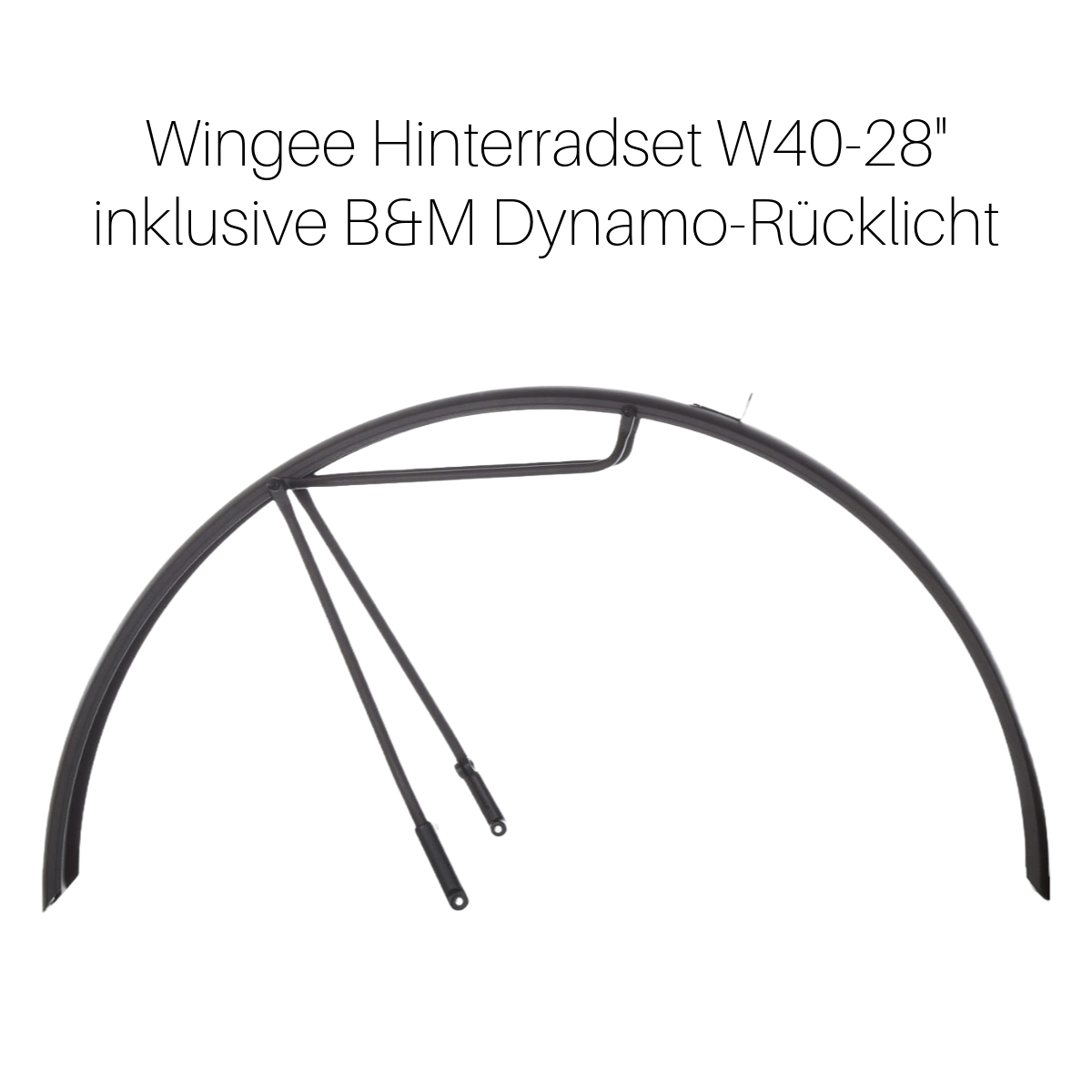 Hinterradset W40 28 B&M Dynamo.png